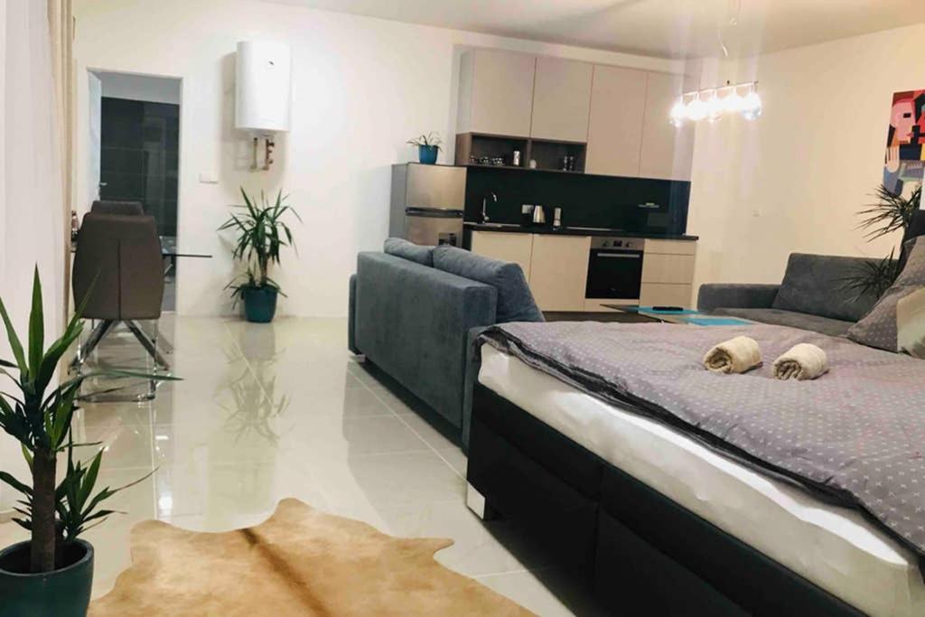 Apartment Right In The Center Of 브르노 외부 사진